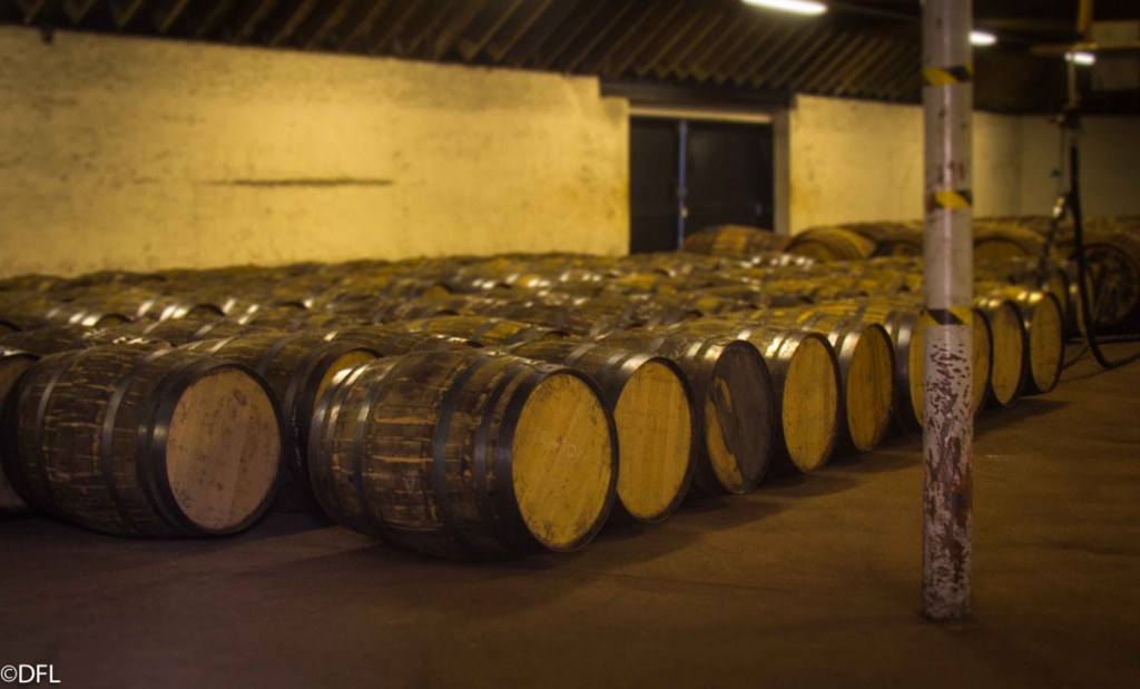 The Macallan whiskies barrels casks