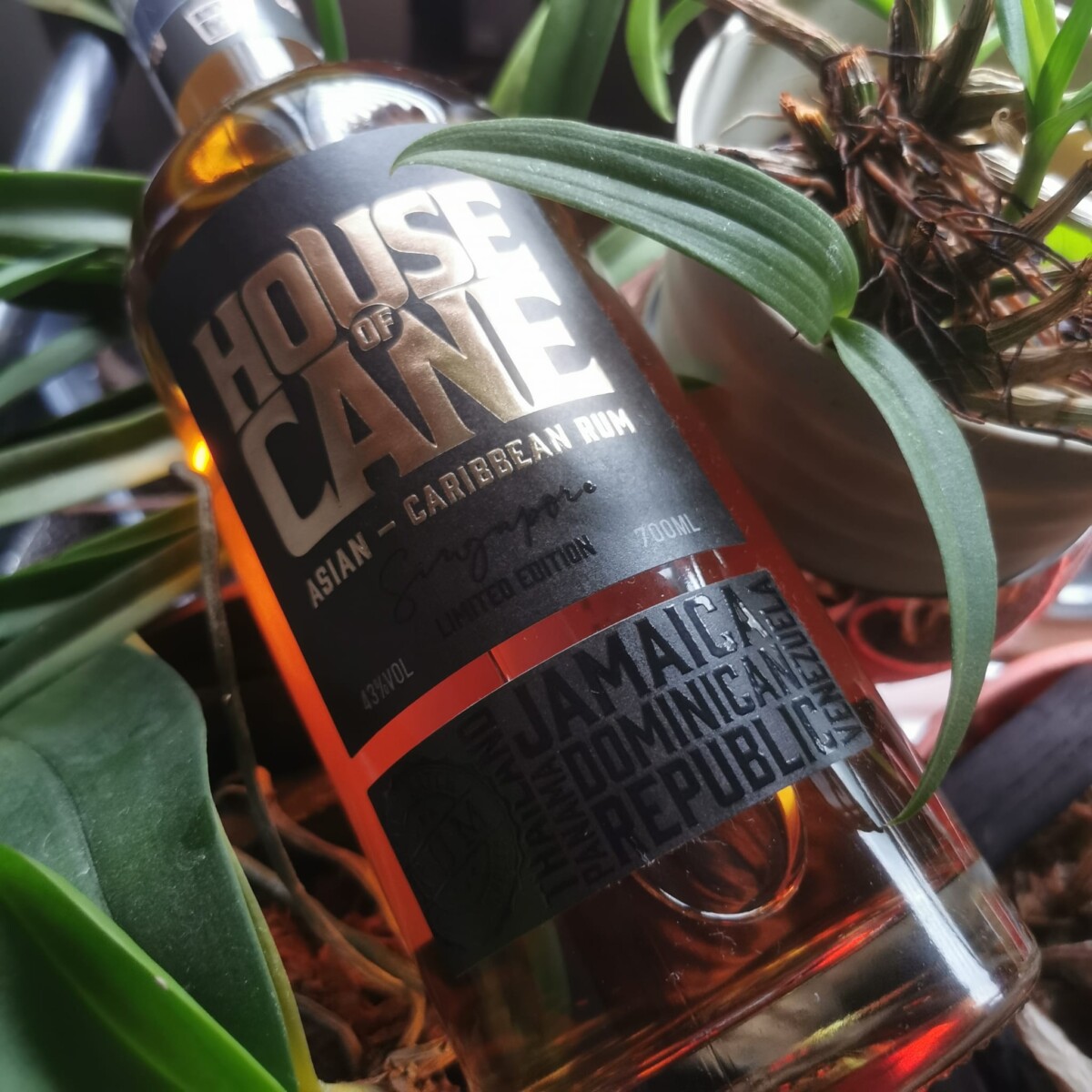 House of Cane Rum